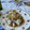 El cooksnap de mjmonseco cuando hizo Bacalao con revuelto de puerros.