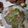 Mariam 's cooksnap of when they made Jamaican Chicken Stew.