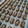 Cooksnap dari Olivia Ayu Pramita untuk resep Gandum cinnamon Cookies