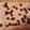 Pluviophile's cooksnap of when they made Low Carb peanut butter bars.