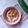 Cooksnap dari Happy Endahsa (Happy End) untuk resep Bubur candil ubi ungu