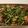 mama_2_3's cooksnap of when they made Sheet Pan Roast Balsamic Chicken with Tomatoes, Onions & Asparagus.