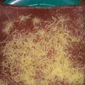 Cooksnap dari Nike Santoso untuk resep Brownies coklat panggang#dEbm
