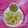Saroj Shah's cooksnap of when they made સમોસા (Samosa Recipe In Gujarati).