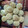 El cooksnap de anny joseph cuando hizo Chipas.