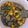 Cooksnap dari Jasmine untuk resep Tumis Daging Sapi Bawang Bombay