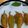 Sarita Srivastava's cooksnap of when they made Chilli Mirchi vada with Pav.