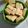 Cooksnap dari renny renny untuk resep Bolu panggang anti gagal empuk dan lembut