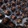 Cooksnap dari Ristia untuk resep Kacang Coklat Super Simple