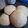El cooksnap de Cgtv cuando hizo Pan dulce o Piñita.