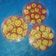 Cooksnap dari Atiek Tiyaningsih untuk resep Nastar keranjang dan apel by Ayla cookies