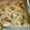 Cooksnap από Εύη Ντάφη στη συνταγή Quiche με μανιτάρια, καραμελωμένα κρεμμύδια και λαδοτύρι Μυτιλήνης