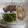 Cooksnap của Nguyen Nguyen khi họ làm theo món Cá hú áp chảo rau muống xào tỏi (Eat clean)