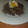 El cooksnap de Trini cuando hizo Habitas con jamón, cebolla y huevo poché.