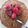 Cooksnap de Pitaya.and.banana sur la recette Bowl cake chocolat coeur coulant