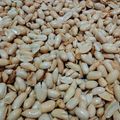 Cooksnap dari yani f untuk resep Kacang bawang rasa mete