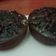 Cooksnap dari vivian kaylee untuk resep Bolu kukus chocolatos