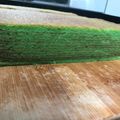 Cooksnap dari stella s untuk resep Lapis Legit Pandan Putih Telur