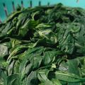 Cooksnap dari Melanie Damarhita untuk resep Daun Singkong Rebus (Tips agar Empuk & tetap Hijau)