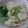 Cooksnap dari Arni Fp untuk resep Chicken Wonton Soup