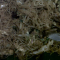 Cooksnap dari Risa Pratiwi untuk resep Bihun Goreng