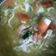Cooksnap dari Arifani untuk resep Mi godhog jowo