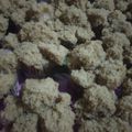Cooksnap dari Nur Daniati untuk resep Roti Kukus Gula Merah Pandan Anti Gagal