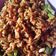 Cooksnap dari Mm aqnih Aqnih untuk resep Tempe kering pedas manis
