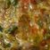 Cooksnap dari Mommy Ramadhan untuk resep Sambal ijo