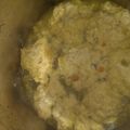 coltstk's cooksnap of when they made Chicken Dumpling's.