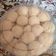Cooksnap dari Nia Wilantara untuk resep Cookies Manado