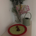 El cooksnap de Lola Martinez cuando hizo Salmorejo verde light de aguacate en Thermomix.