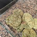 El cooksnap de Charlypan cuando hizo Cookies con chocolate chips.
