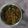 Garima Jain 's cooksnap of when they made Matar mushroom curry.