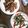 รูป Cooksnap ของ Come la Rose เมื่อเขาทำ วากาเมะผัดไข่ เกือบคลีนทำกับหม้อหุงข้าว