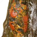 Cooksnap dari Nuraini untuk resep Pepes Ikan Mas - Daun Kemangi