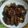 Cooksnap dari Helly Helmini untuk resep Hati Ampela Manis ala Jepang 🎌