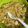 Cooksnap dari Lildongsaeng's Kitchen untuk resep Bihun Goreng MPASI +12 Bulan