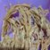 Cooksnap dari Iriantika Prihastyanti untuk resep Enoki Mushroom Crispy