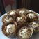 Cooksnap dari Dichant Sesunan untuk resep Vanilla Cupcakes