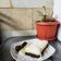 Cooksnap dari hasnafadh untuk resep Bolu susu lembang