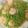 戴嘉菁 的 四季豆炒蝦仁🍤 cooksnap