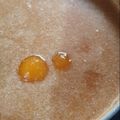 Cooksnap dari asri untuk resep Kolak Candil(biji salak)