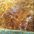 Cooksnap από meli_kanela στη συνταγή Χαλουμόπιτα
