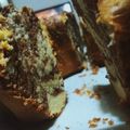 El cooksnap de Rocio Ibañez cuando hizo Budín marmolado 😋.