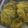 Cooksnap dari Adinda M untuk resep Pepes Tahu tanpa daun pisang! Bisa pakai kol atau sawi putih