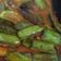 Cooksnap dari Tjandra Asri Wulandari untuk resep Terong Balado simple