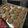 Cooksnap dari Zahroh R J A untuk resep Crunchy oatmeal raisin cookies