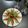 Swagata Mukherjee's cooksnap of when they made পুঁটি মাছ ভাজা।.