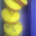 Cooksnap dari Rya Handoko untuk resep Kue pukis